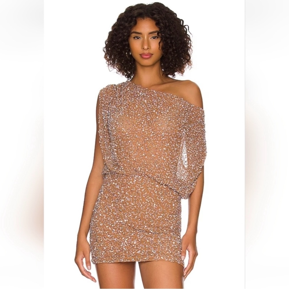 Retrofete Yvette Dress Size M in Silver and Nude/Tan
